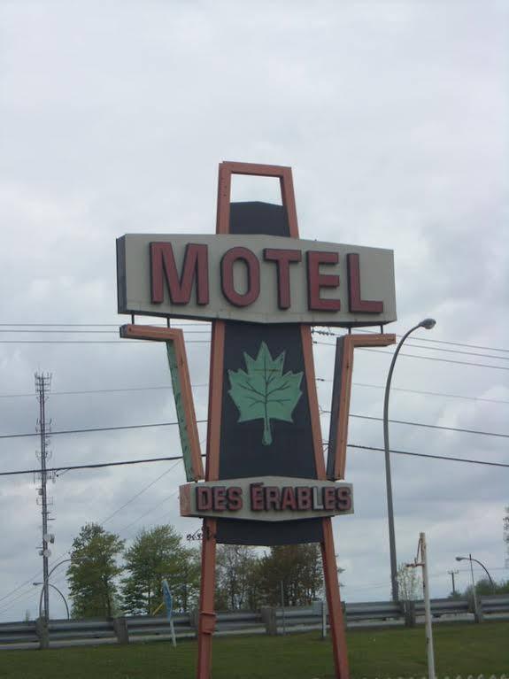 Coteau-du-Lac Motel Des Erables מראה חיצוני תמונה